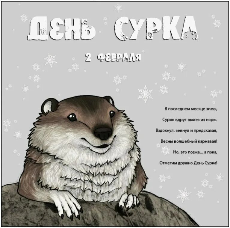 День сурка что это значит выражение. День сурка поздравления. день сурка открытки. 2 февраля день сурка. открытки с днем сурка 2 февраля.