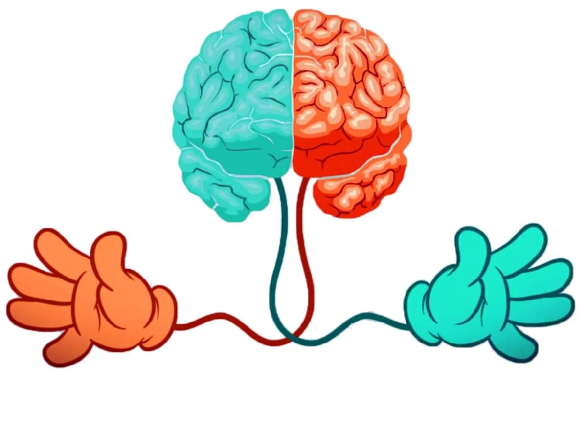 Картинки для нейроигр. Мозг для дошкольников. Межполушарные взаимодействия мозга. Руки и мозг взаимосвязь. Межполушарное взаимодействие мозг.