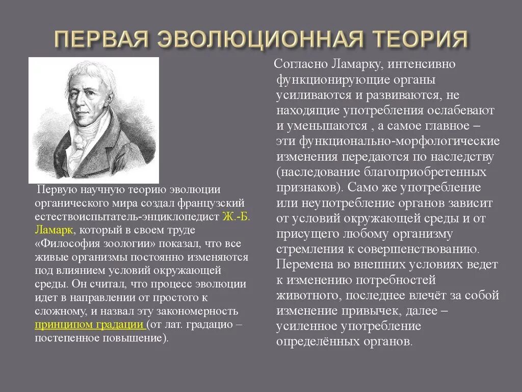 Кто из ученых разработал теорию. История эволюционных идей Ламарк. Первые эволюционные концепции. Концепции эволюции живого.