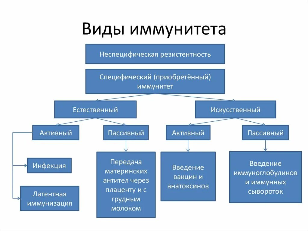 Типы защиты иммунитета. Неспецифический иммунитет и специфический иммунитет. Типы неспецифического иммунитета. Классификация приобретенного иммунитета. Специфическая резистентность