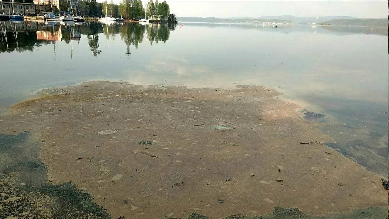 Загрязнённые водоёмы в Челябинске. Загрязнённый водоём Челябинск. Загрязненные озёра Челябинской области. Самое грязное озеро в Челябинской области.