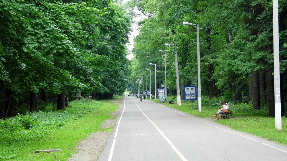 В Пензенской области 5 сентября обещают приятную и теплую погоду