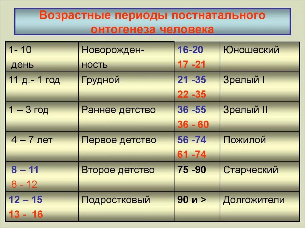 Возраст человека 25 30 лет. Возрастные периоды онтогенеза. Возрастная периодизация онтогенеза. Возрастные периоды постнатального развития человека. Возрастные периоды постнатального онтогенеза.