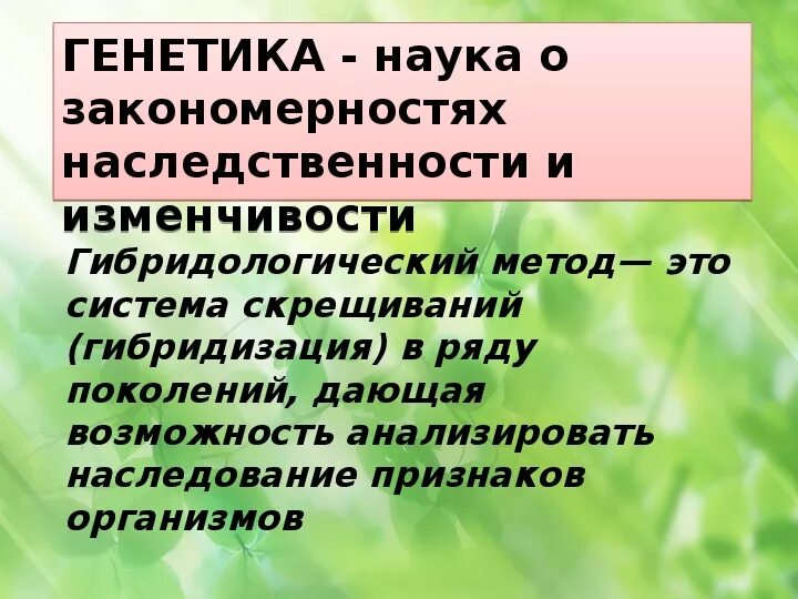 Закономерности наследования моногибридное скрещивание. Закономерности наследования признаков установленные Менделем. Основные закономерности наследования признаков биология. Закономерности наследования презентация. Закономерности наследования 10 класс презентация