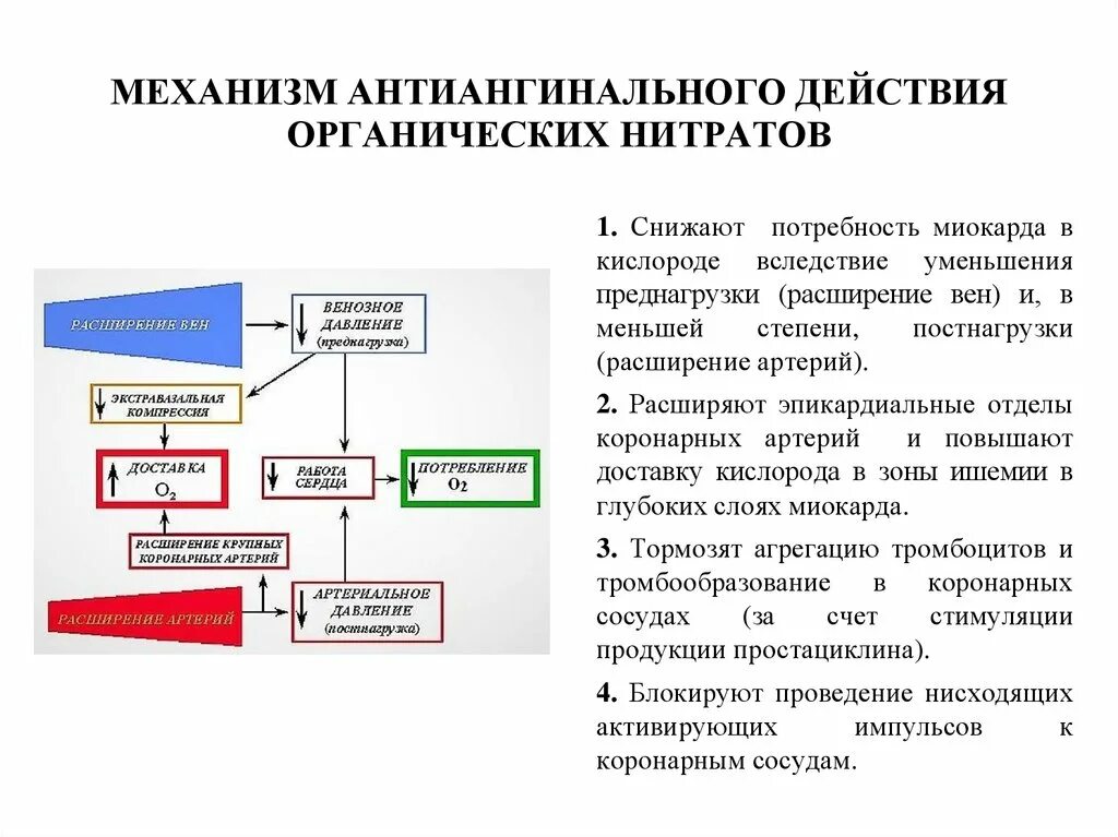 Группы органических нитратов. Механизм действия нитратов антиангинальные средства. Механизм антиангинального действия нитроглицерина схема. Механизм антиангинального действия органических нитратов. Механизм действия антиангинальных.