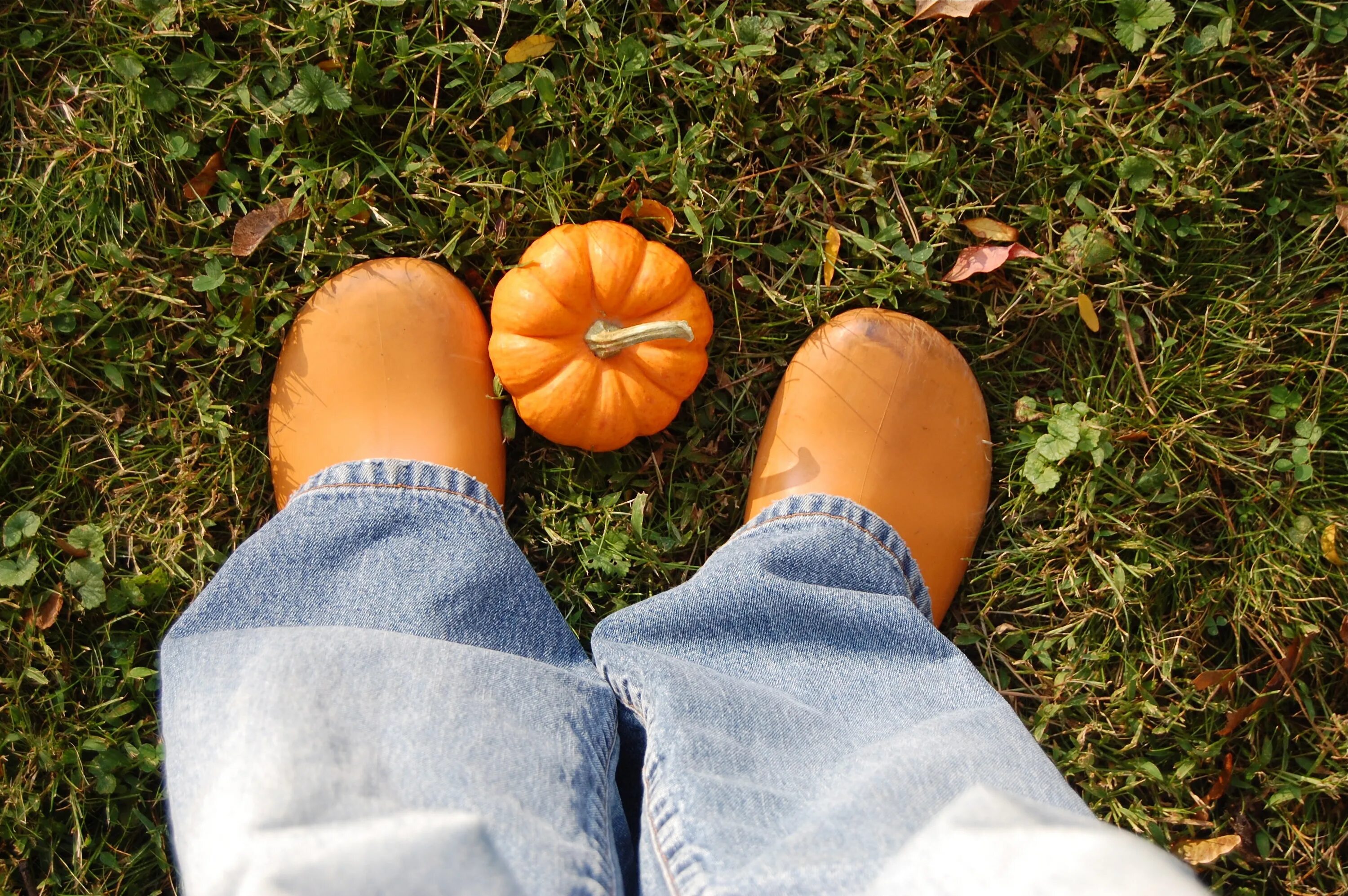 Желтая подошва ног. Оранжевые ступни. Тыква в руках. Garden Clogs на ногах. Апельсиновые ноги.