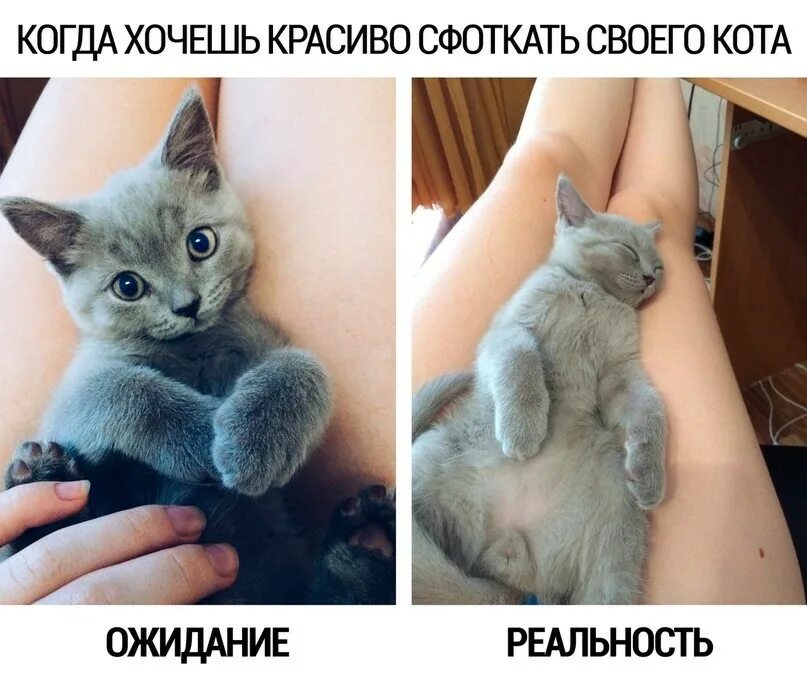 Я его тебе сфоткаю. Сына дай я тебя сфоткаю. Неудачные селфи. Ты сфоткала. Картинки на тему ты сфоткайся я скажу.