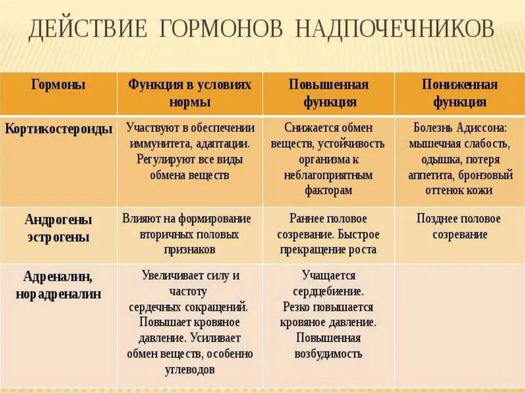 Надпочечники гормоны и функции. Половые гормоны надпочечников функции. Надпочечники гормоны и функции таблица. Гормоны мозгового слоя надпочечников таблица. Гиперфункция мозгового вещества надпочечников