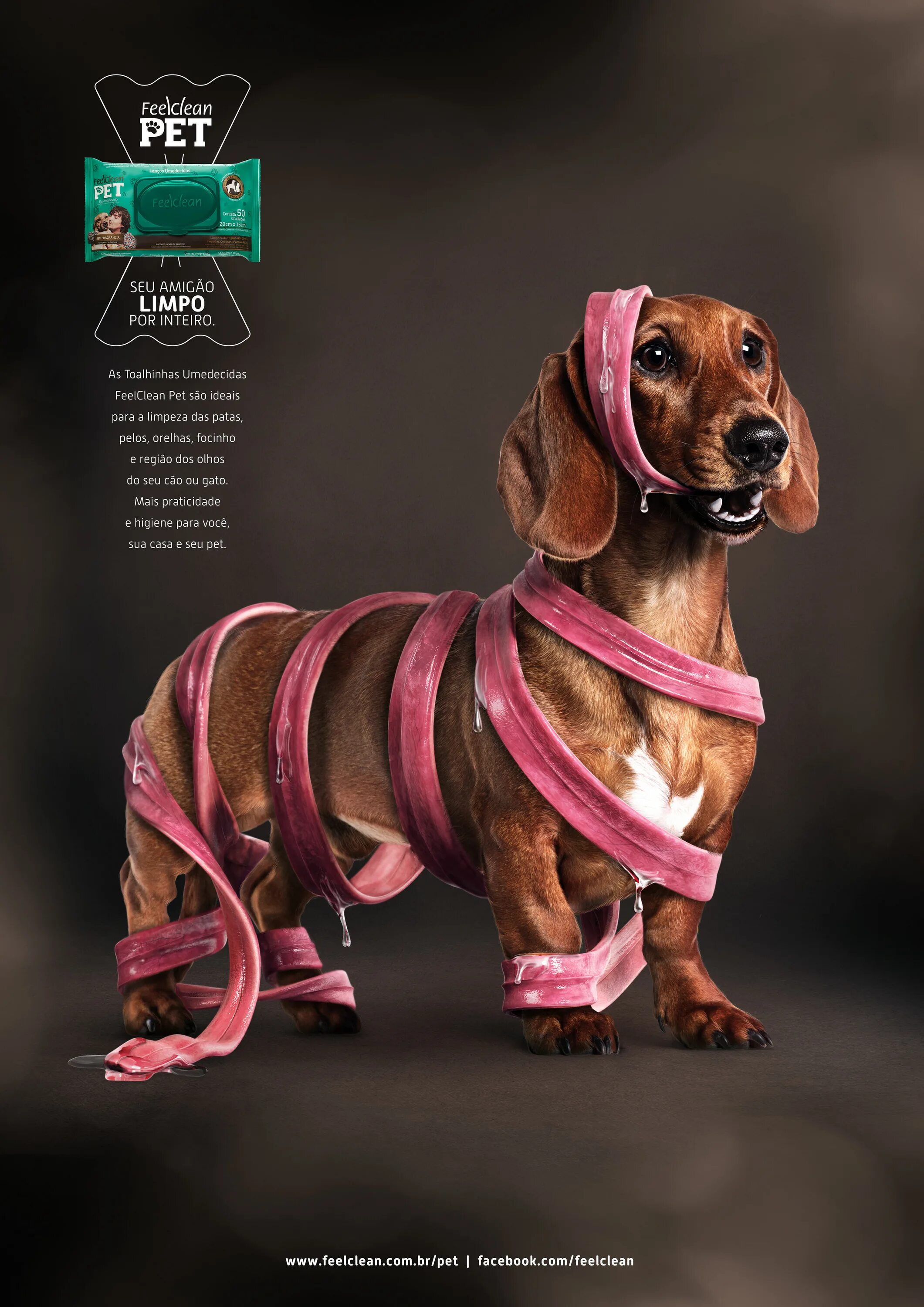 Креативная реклама корма для собак. Креативное животные реклама. Креативные домашние животные. Собака креатив.