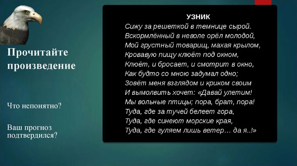 Сижу я в темнице орел молодой. Стихотворение узник. Стихотворение Пушкина узник. Узник Пушкин стихотворение. Анализ стихотворения узник.