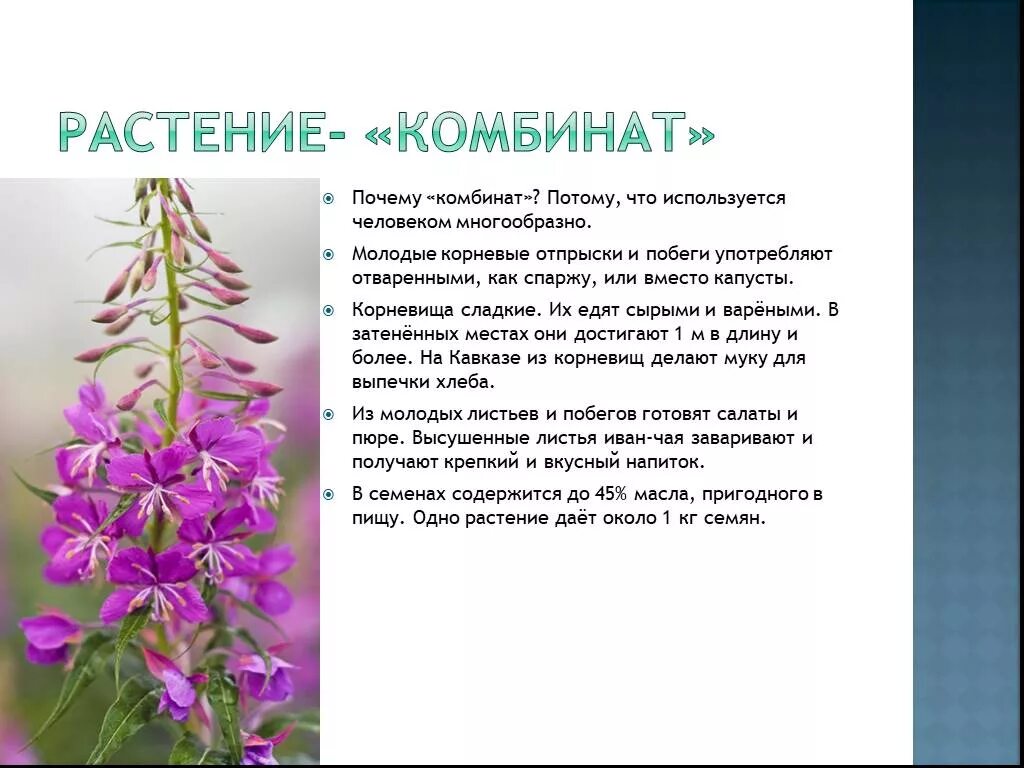 Подготовьте сообщение используя