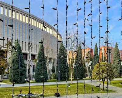 8 декабря краснодар
