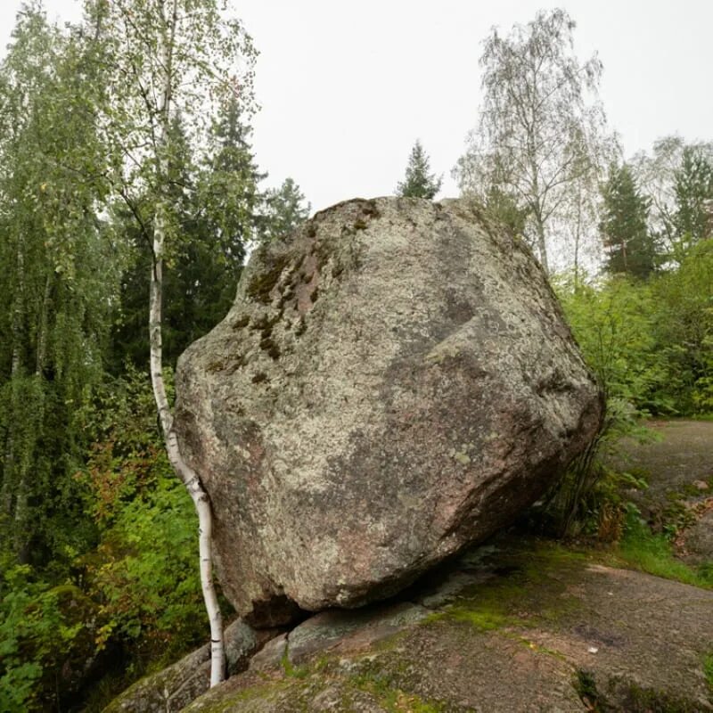 Гонит камень. Монрепо камни. Парк Монрепо валун баланс. Скальная гряда Монрепо. Парк Монрепо висячий камень.