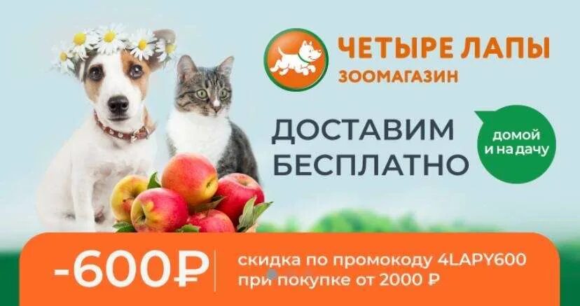 4 лапы на первый заказ