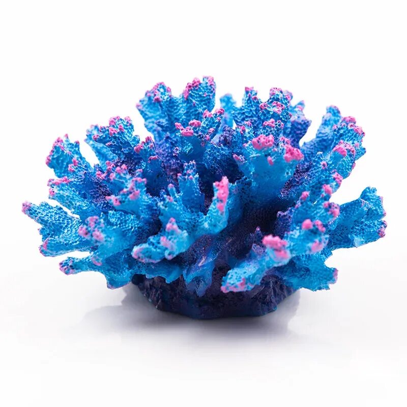 Коралловый риф для аквариума. Кораллы декоративные. Искусственные кораллы. Кораллы в морском аквариуме. Coral blue