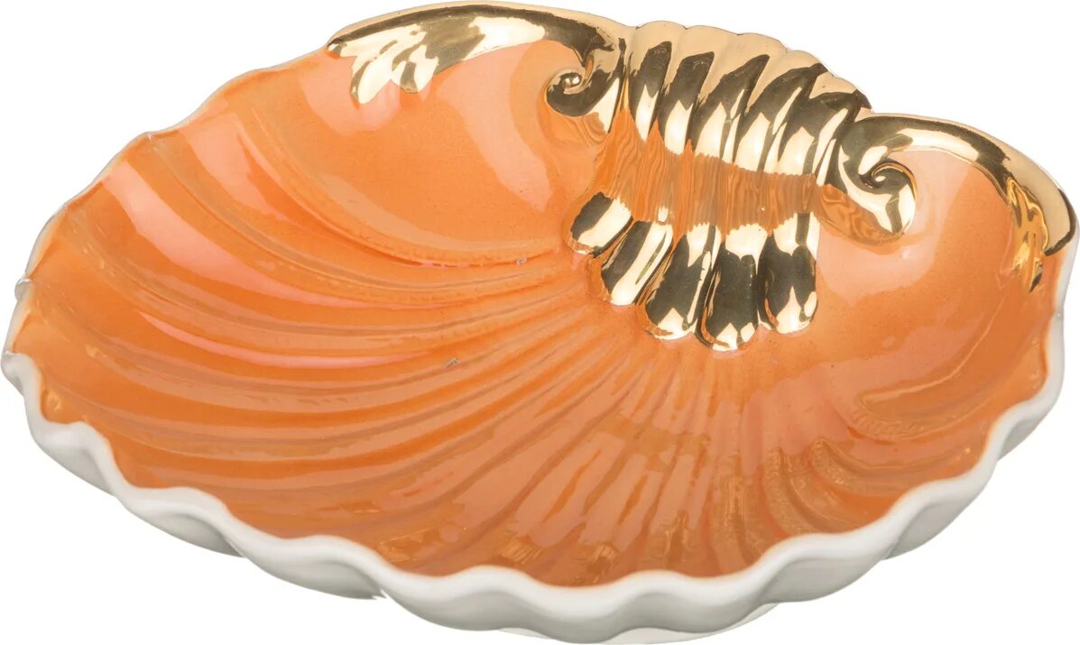 Тарелка в виде ракушки. Фарфоровая тарелка ракушка. Ceramic shell. Посуда ракушка. Белая тарелка в виде ракушки.