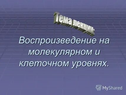 Темы воспроизведение