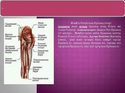 Фашистік порно фильмдер