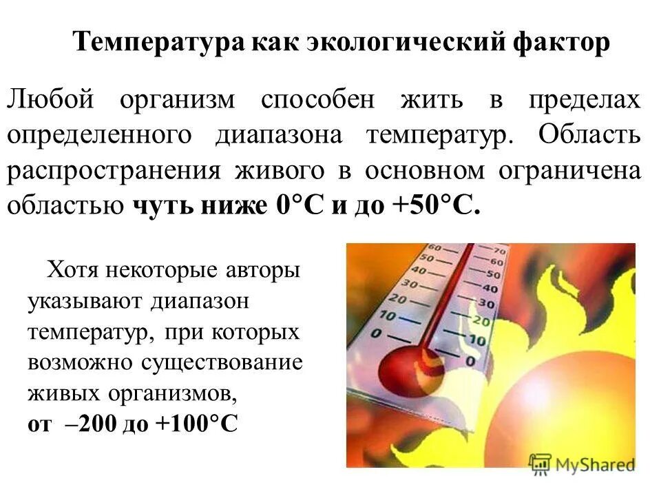 Свет и температура как экологические факторы. Температура как экологический фактор. Воздействие лучистой энергии. Температура как экологический фактор вывод. Температура как экологический фактор презентация.