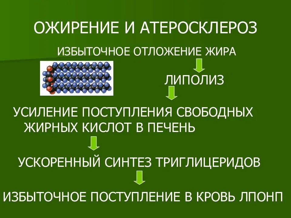 Ожирение и атеросклероз. Ожирение атеросклероз. атеросклероз при ожирении. ожирение и атеросклероз связь. ожирение способствует развитию атеросклероза.
