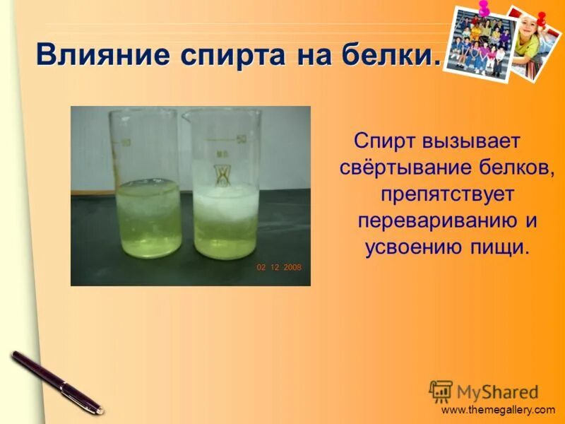 Белка в воде. Воздействие температуры на белок стадии. Боевая белка. Лабораторная крыса. Опыт с белком яйца.