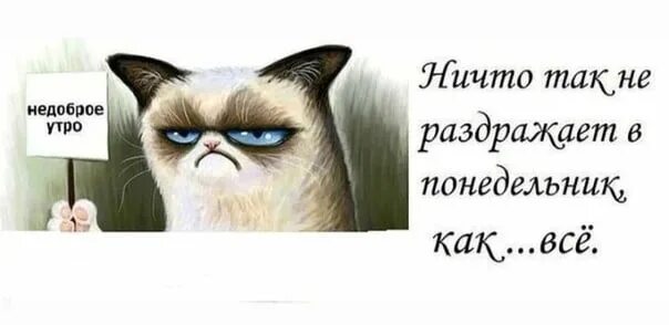 Недоброе утро картинки. Недоброе утро. Недоброе утро понедельника. Доброе недоброе утро. Доброе не бодрое утро.