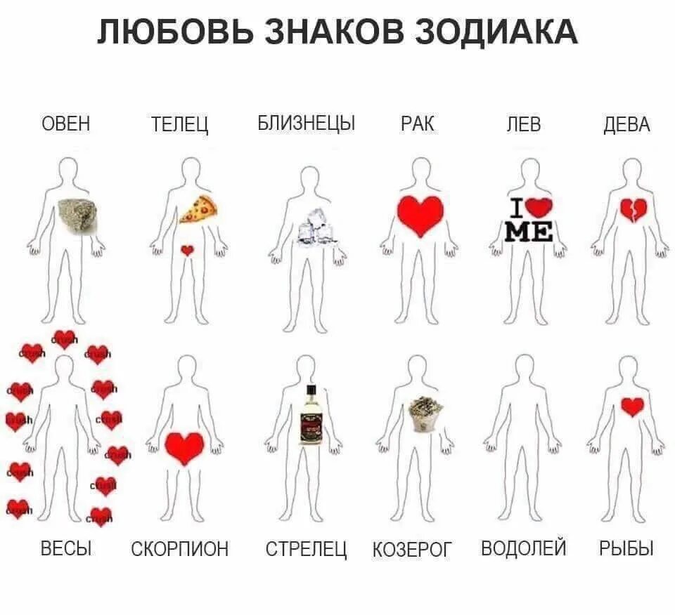 Позы для рисования мемы знаки зодиака. Знаки зодиака смешные. Девушки по знаку зодиака. Позы для знаков зодиака в картинках. Знаки зодиака позы.