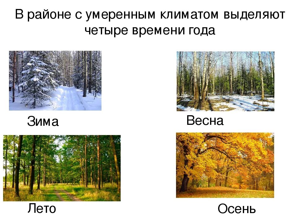 Климатические времена года. Признаки времен года. Презентация времена года. Погода времена года.