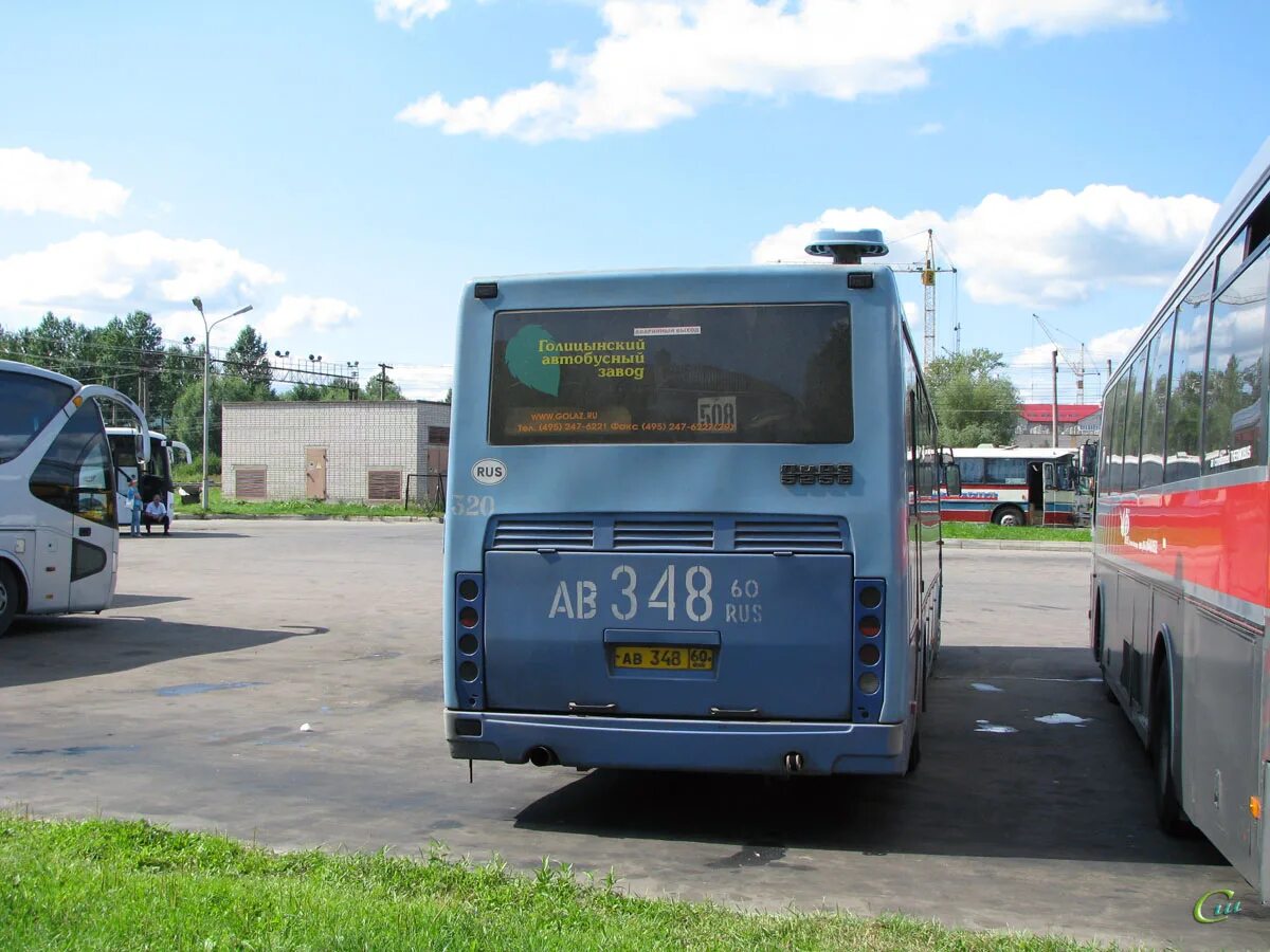 ГОЛАЗ 5256 Великий Новгород. Новгородская автобусная станция. Автобусы в Великом Новгороде. Автобусы Великий Новгород. Автовокзал новгород номер