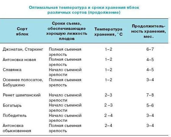 Сколько нужно держать холодное. Хранение яблок температурный режим. Температура и влажность хранения яблок. Температура и влажность при хранении яблок. Температура хранения яблок в холодильнике.