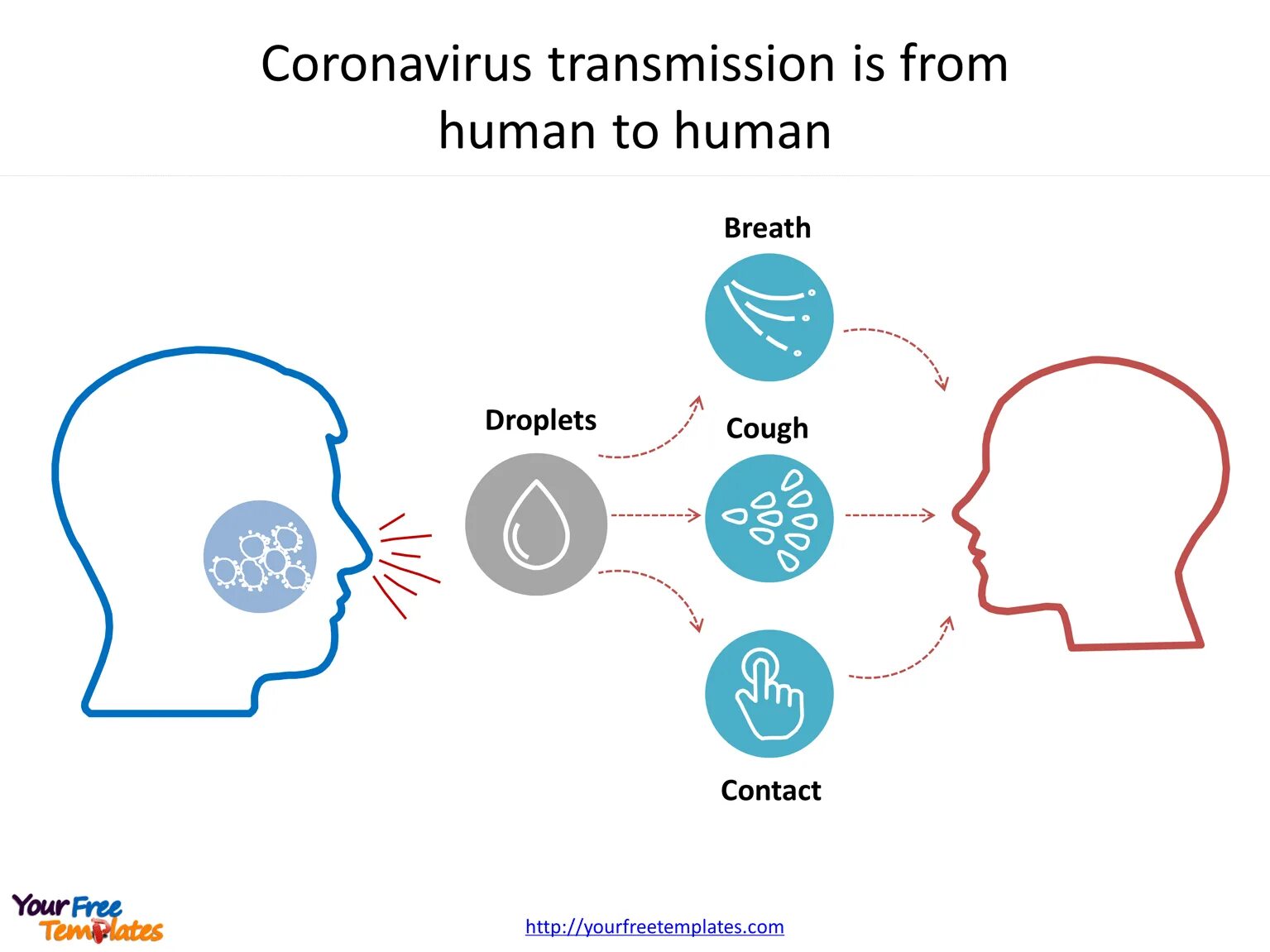Коронавирус. Коронавирус штаммы инфографика. Коронавирус 19. Пути передачи коронавируса.