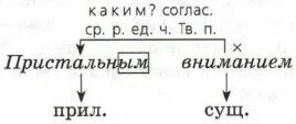Русский язык. 4 класс. I полугодие. Рабочая программа и технологические карты ур