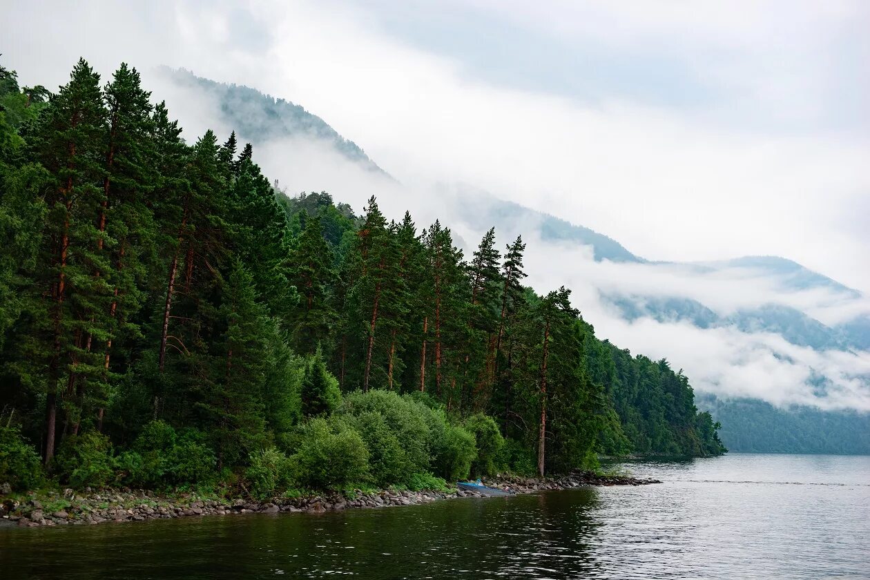 Алтайский государственный заповедник. Алтайский государственный природный биосферный. Алтайский государственный заповедник. Озеро маркаколь на алтае. Катунский биосферный заповедник, респ.