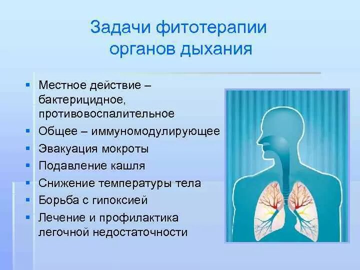 Кашель воздух дыхание. Заболевания органов дыхания. При заболеваниях дыхательной системы. Органы дыхания. При заболеваниях органов дыхания.