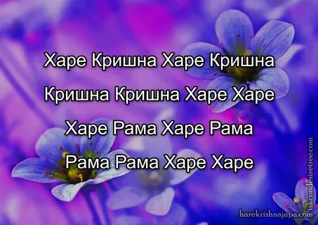 Как переводится харе