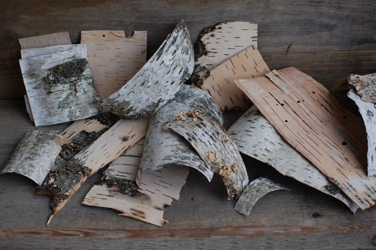 письммооооо на бересте. береста текстура. свеча birch bark. березовая береста. береста для письма в древности.