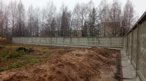 Кисельня волховский