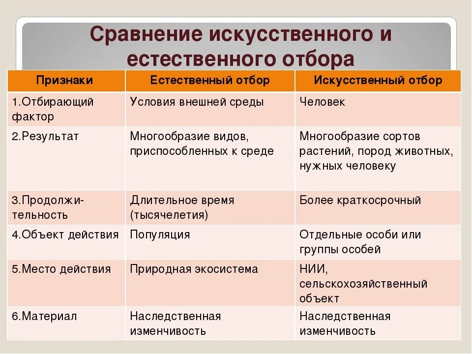 Сравнение форм отбора. Сравнительная таблица искусственного и естественного отбора 9. Сравнительные признаки естественный отбор искусственный отбор. Таблица признаки искусственный отбор естественный отбор. Признаки сравнения естественного и искусственного отбора таблица.