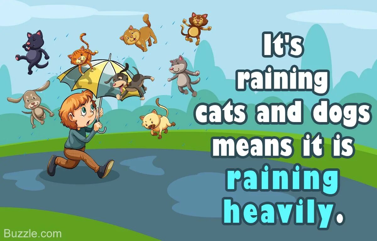 Идиома it's raining Cats and Dogs. Rain Cats and Dogs идиома. Raining Cats and Dogs идиома. It Rains Cats and Dogs. It s raining heavily