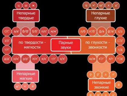 Звуковая оболочка слова это