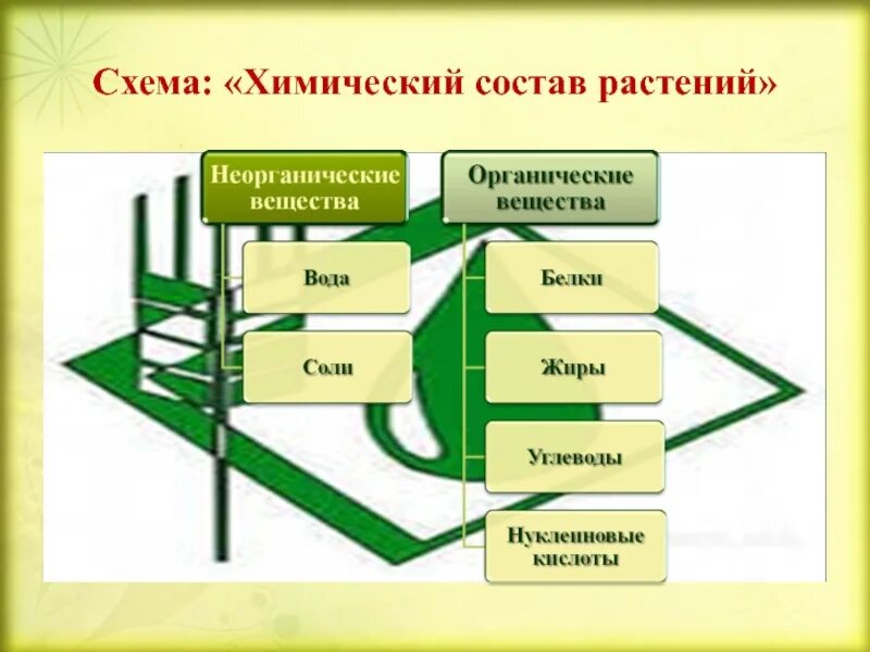 Растения состоят из веществ. Химический состав растений схема. химический состав растений таблица. химический элементный состав растений. неорганические вещества растений.