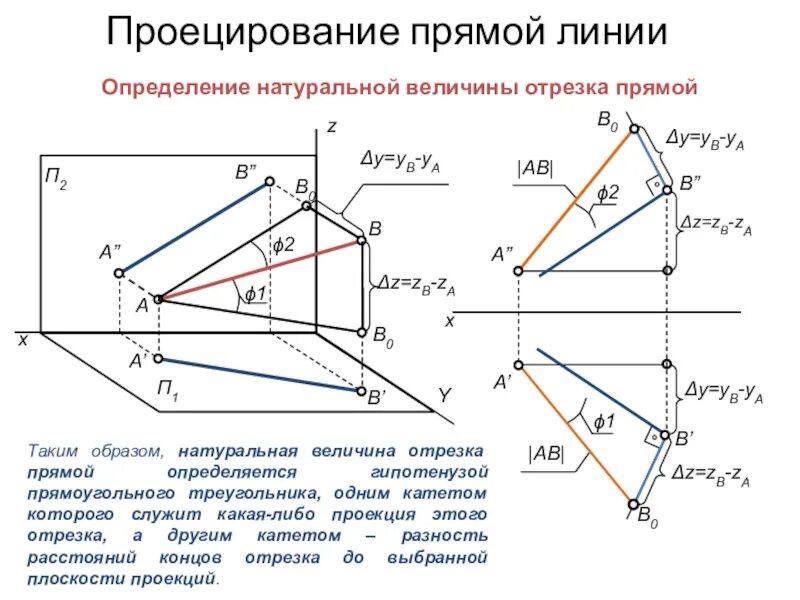 Как определить величину проекции. Натуральная величина отрезка а0. проекции отрезка прямой. проецирование отрезках прямой. проецирование отрезка прямой линии.