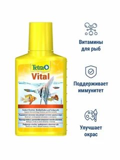 Рыба для иммунитета