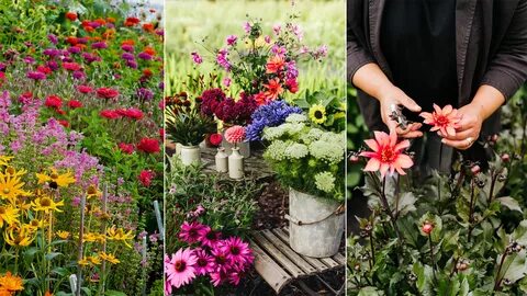 Planning a cut flower garden: top tips for beautiful blooms Homes & Gar...