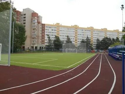 Лицей 387