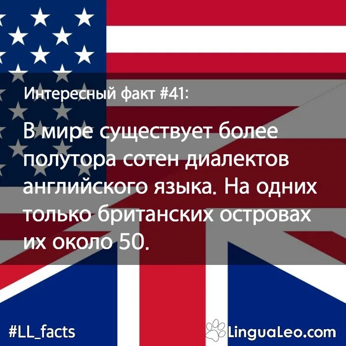 Какой язык в америке является официальным. Интересные факты об английском языке. Интересные факты на английском. Интересные факты о Великобритании. Необычные факты об английском языке.