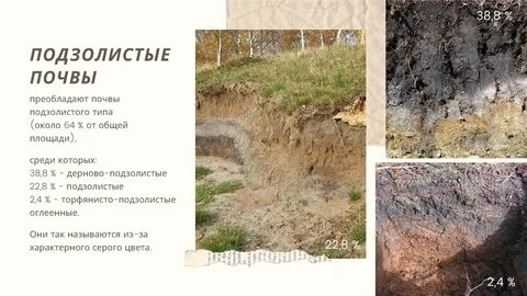 Дерново подзолистые почвы карта