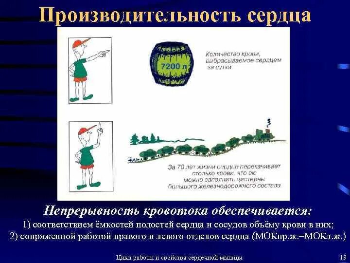Сердечной производительности. Сердечной производительности. Сердечной производительности. Сердечной производительности. Сердечной производительности.