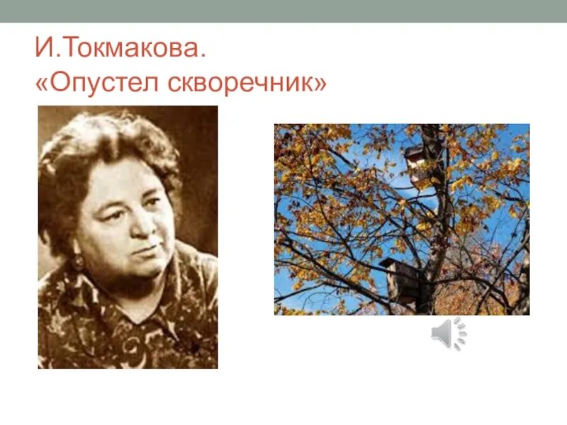 Токмаков опустел скворечник. Токмакова опустел скворечник. Токмакова годы жизни портрет. Токмакова осенние листья.