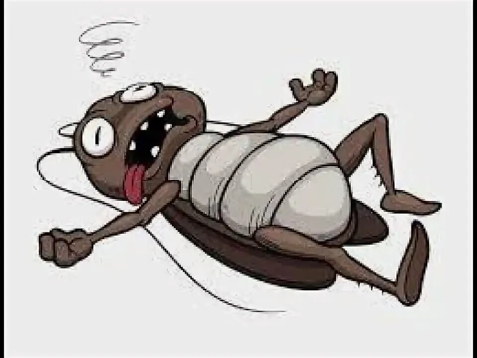 Bug break. Bug break